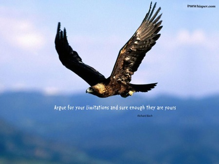 argue-for-your-limitations