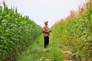 4345531573_548d2d7b26_b